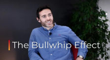 The Bullwhip Effect - Episode 117 by Supply Chain Interviews